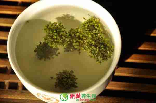 三七花如何食用 三七花泡茶的注意事项