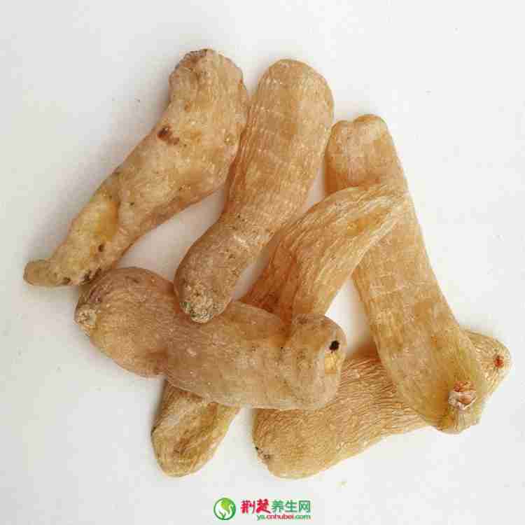 天麻的毒副作用和使用禁忌