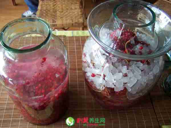 五味子酒的制作方法指导