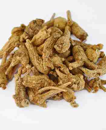 西洋参的功效与作用及食用方法详细介绍