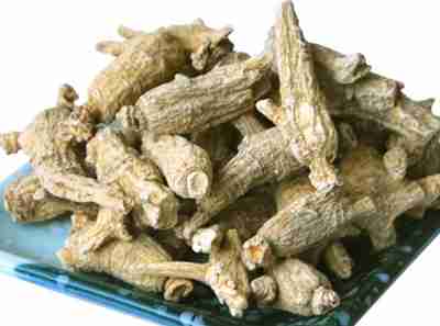 西洋参的外观特性及质量鉴别