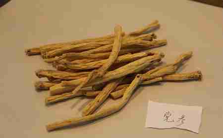 党参的功效与作用及食用方法