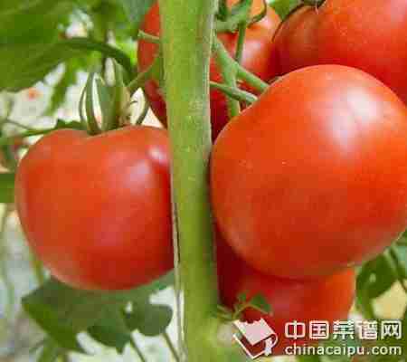 空腹吃这些食物等于自杀