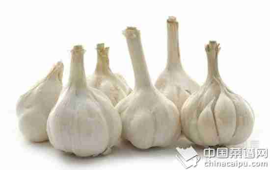 当心调料变毒药！哪些菜不能加盐加醋？