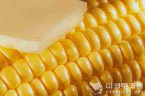 想长寿必知的20个吃饭秘密