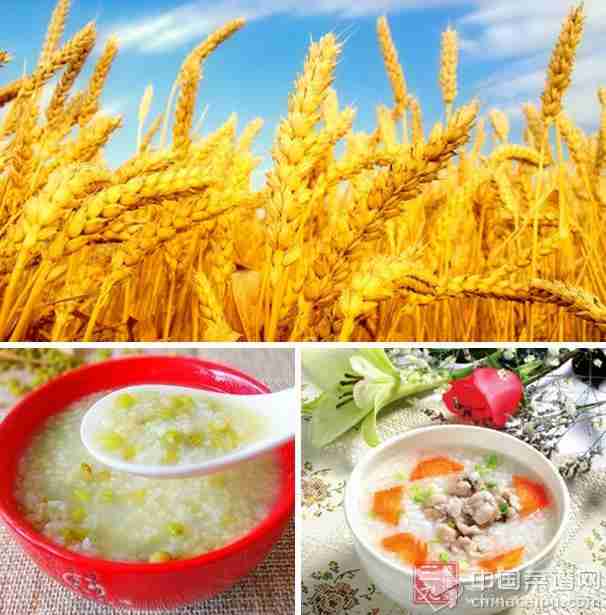 小麦能养心安神除烦去燥。 小麦能养心安神除烦去燥。