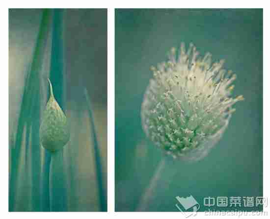 10种日常食物比妓女还脏
