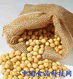 豆浆营养全攻略