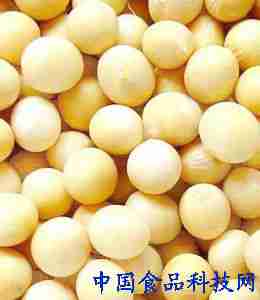 豆浆营养全攻略