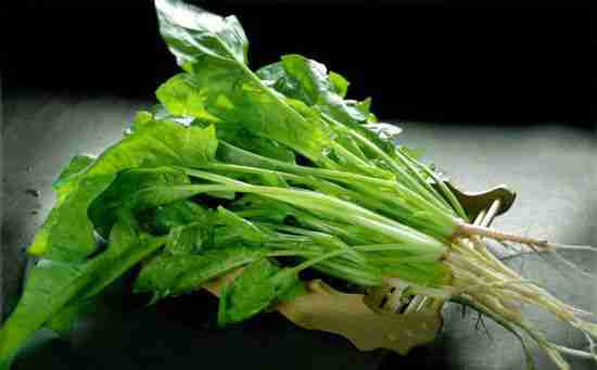 14种超级食物养生必备8