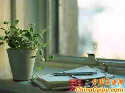 夏季防蚊虫做好“水”功夫