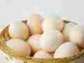 感冒能吃鸡蛋吗 10个关于鸡蛋的小常识