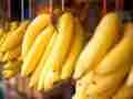 永不反弹的香蕉减肥法！