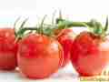 番茄食品可提高儿童免疫力